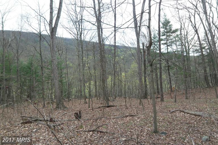 CAPELLA COURT, Great Cacapon, WV 25422