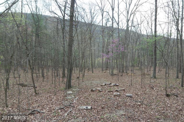 CAPELLA COURT, Great Cacapon, WV 25422