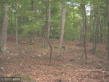 18 POLISH LANE, Great Cacapon, WV 25422