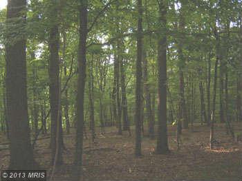 18 POLISH LANE, Great Cacapon, WV 25422