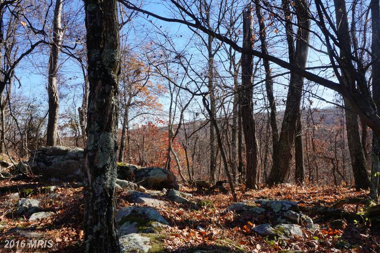 BLUMB LANE, Great Cacapon, WV 25422