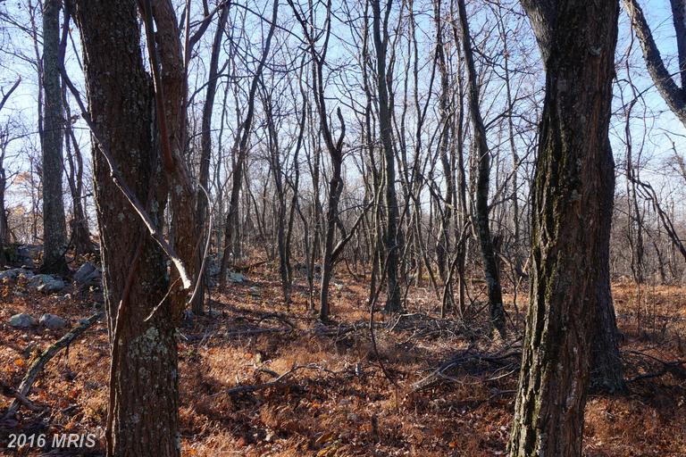 BLUMB LANE, Great Cacapon, WV 25422