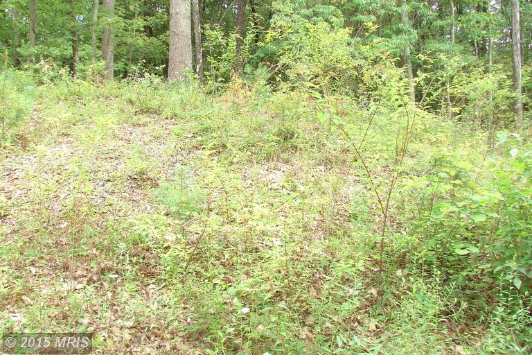 24 HARNEST HILLS, Great Cacapon, WV 25422