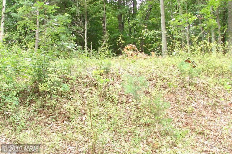 24 HARNEST HILLS, Great Cacapon, WV 25422