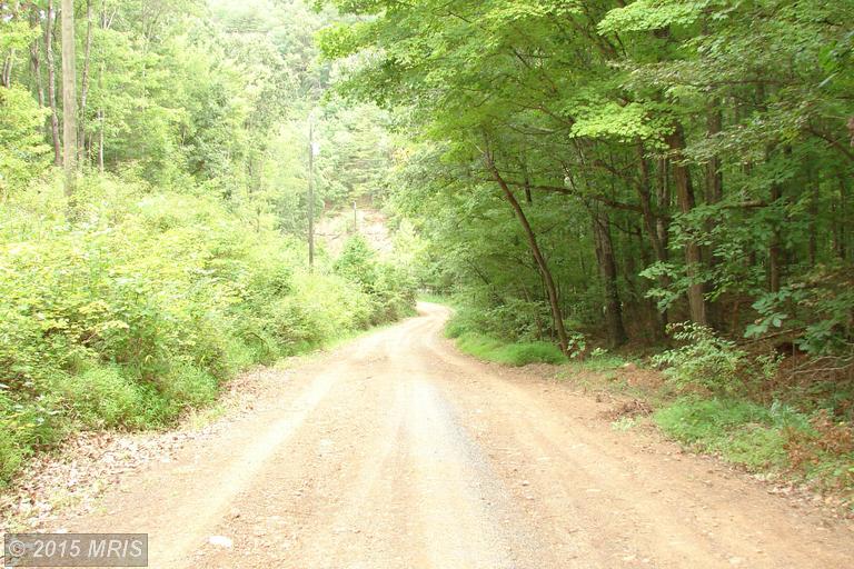 24 HARNEST HILLS, Great Cacapon, WV 25422