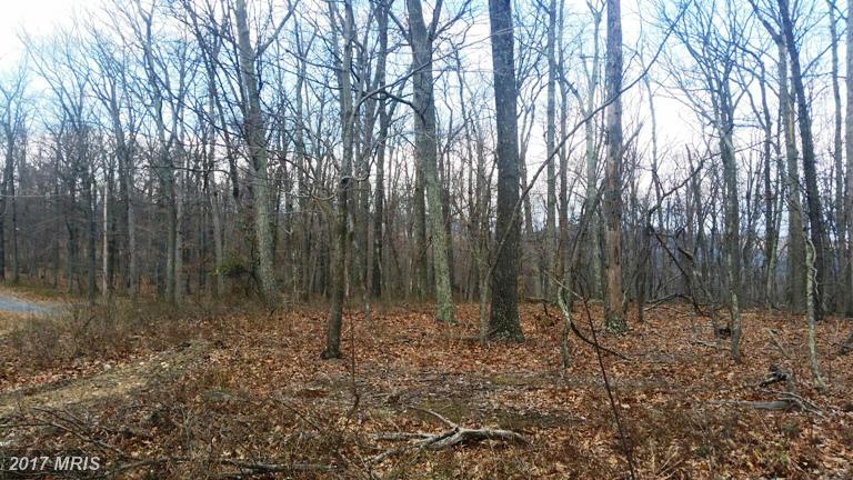 RAZOR BACK RIDGE, Great Cacapon, WV 25422