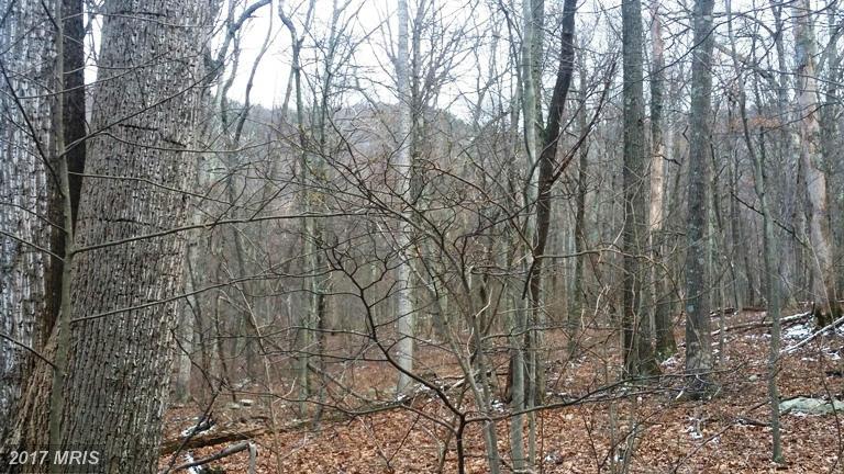 RAZOR BACK RIDGE, Great Cacapon, WV 25422