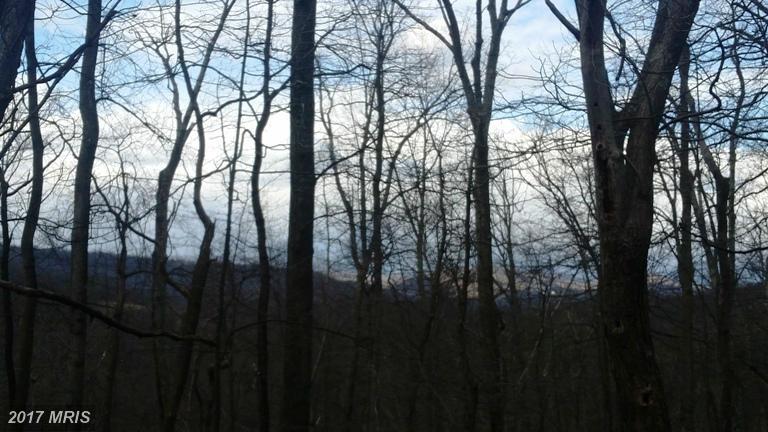 RAZOR BACK RIDGE, Great Cacapon, WV 25422