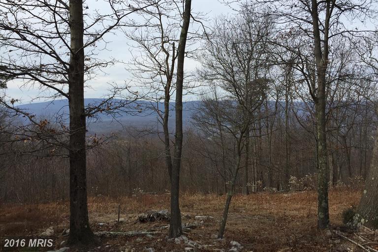 BLUMB LANE, Great Cacapon, WV 25422