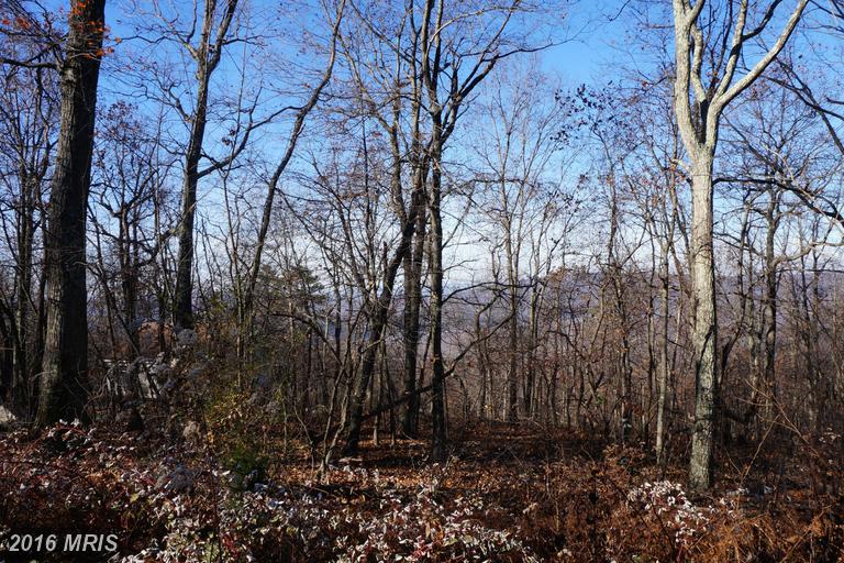BLUMB LANE, Great Cacapon, WV 25422