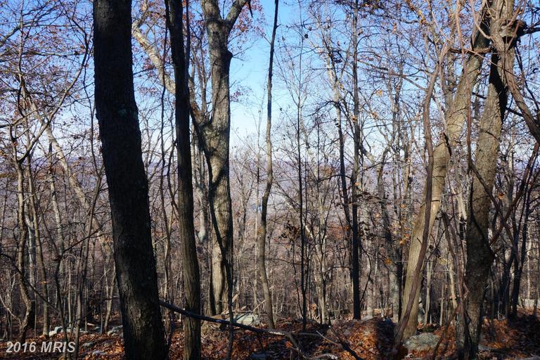 BLUMB LANE, Great Cacapon, WV 25422