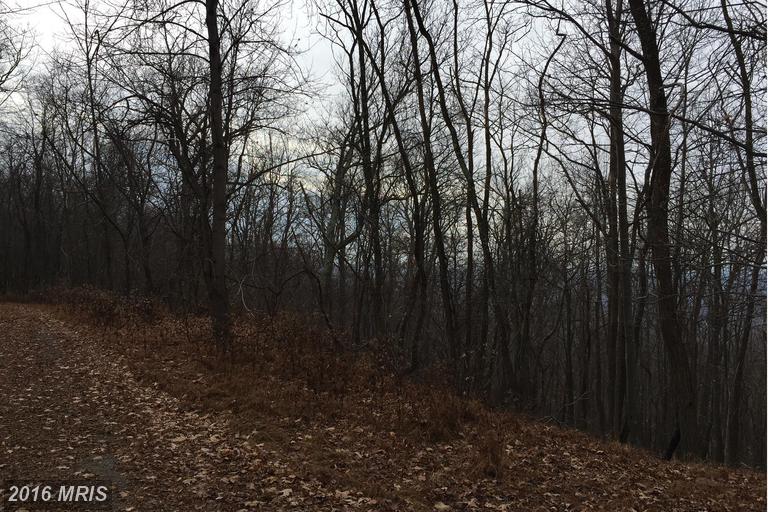BLUMB LANE, Great Cacapon, WV 25422