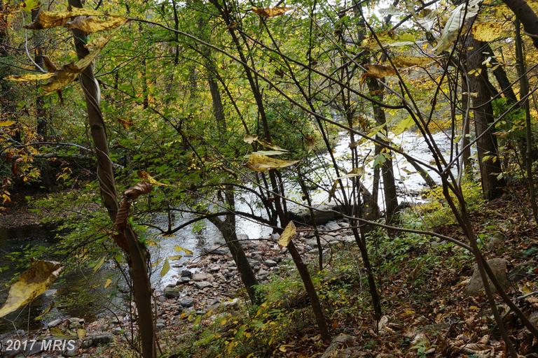 DRAGON FLY LANE, Great Cacapon, WV 25422