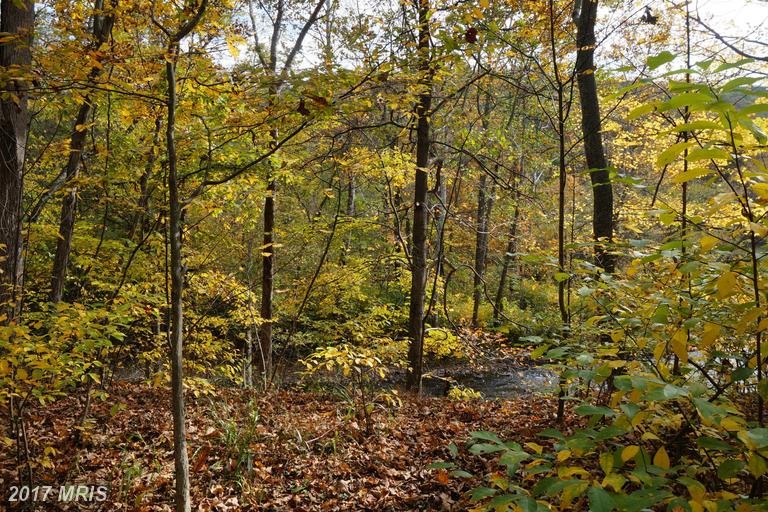 DRAGON FLY LANE, Great Cacapon, WV 25422