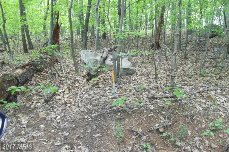 GROUNDHOG LN, Great Cacapon, WV 25422