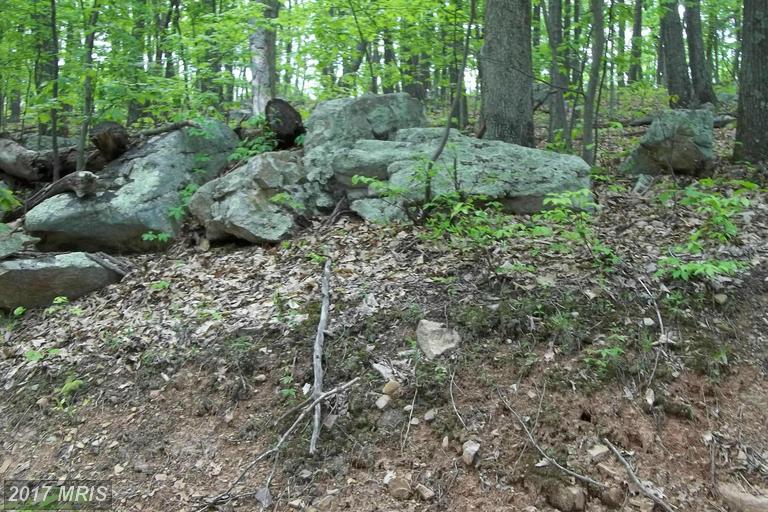 GROUNDHOG LN, Great Cacapon, WV 25422