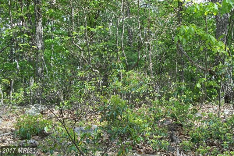 GROUNDHOG LN, Great Cacapon, WV 25422