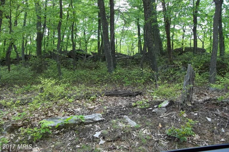 GROUNDHOG LN, Great Cacapon, WV 25422