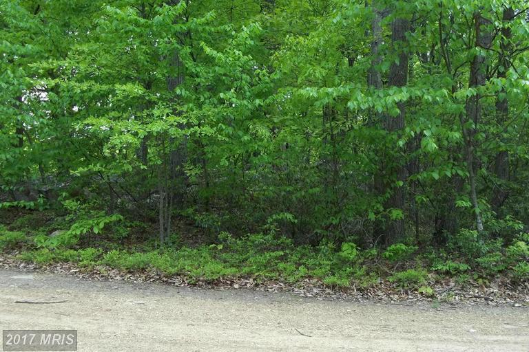 GROUNDHOG LN, Great Cacapon, WV 25422