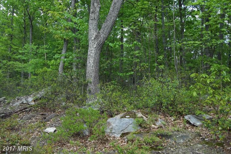 GROUNDHOG LN, Great Cacapon, WV 25422
