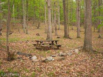 SENICA RIDGE ROAD, Great Cacapon, WV 25422