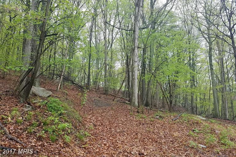0 POLISH LANE, Great Cacapon, WV 25422