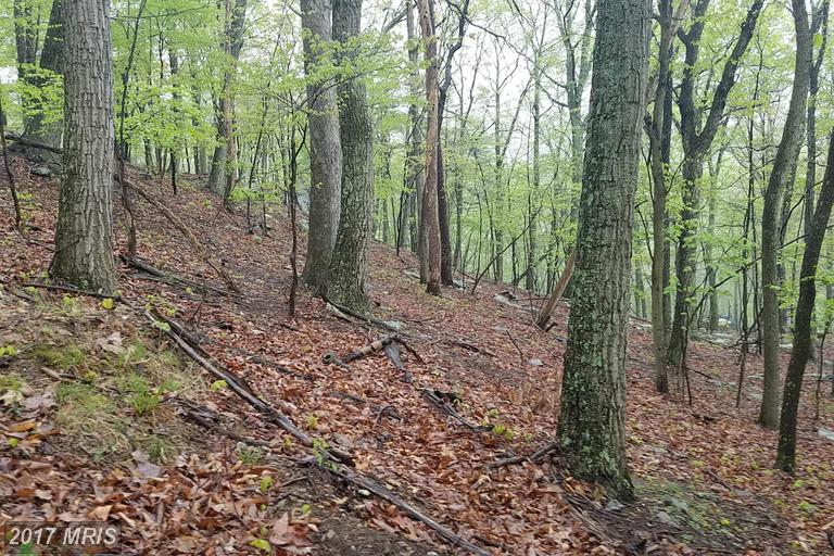 0 POLISH LANE, Great Cacapon, WV 25422