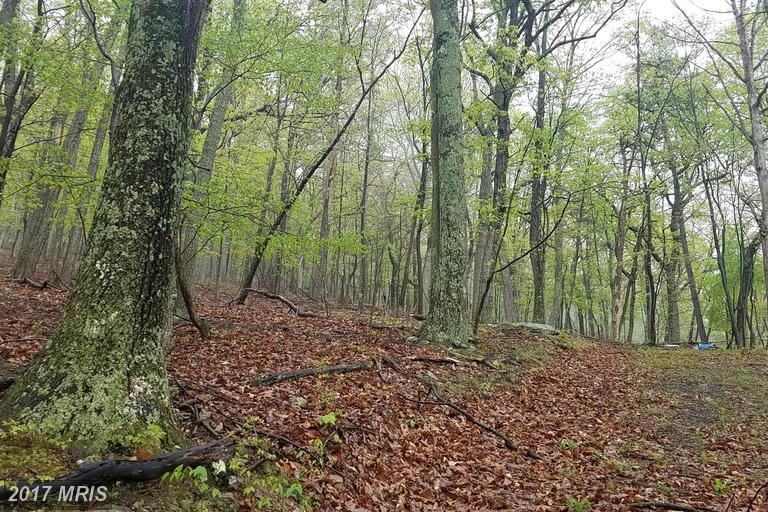 0 POLISH LANE, Great Cacapon, WV 25422
