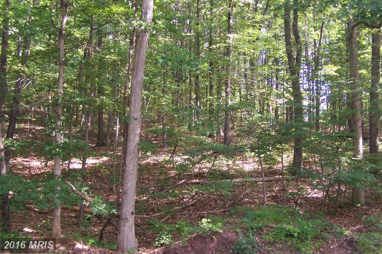 MILO SCHOOL RD., Great Cacapon, WV 25422
