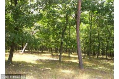 81 B VIRAGE LANE, Great Cacapon, WV 25422