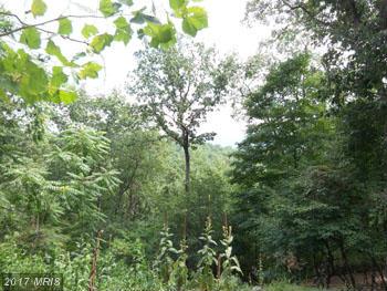 RIVER RIDGE SD, Great Cacapon, WV 25422