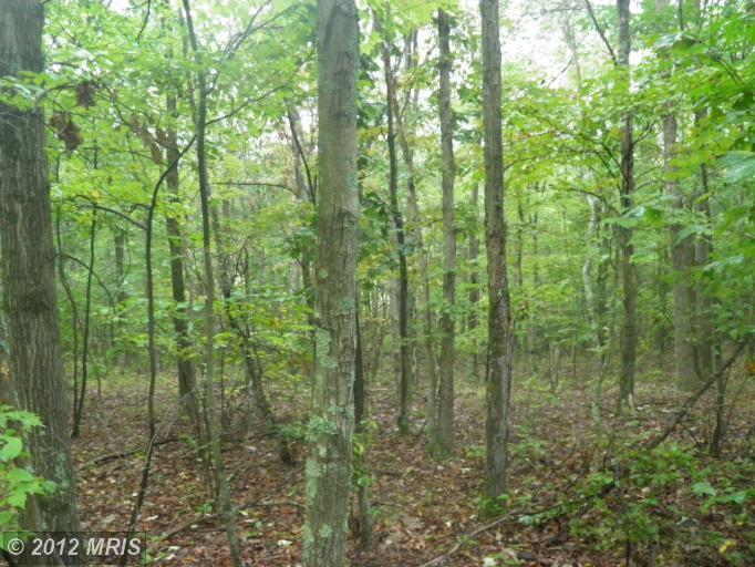 638 Tonoloway Point Circle