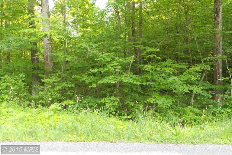 638 Tonoloway Point Circle