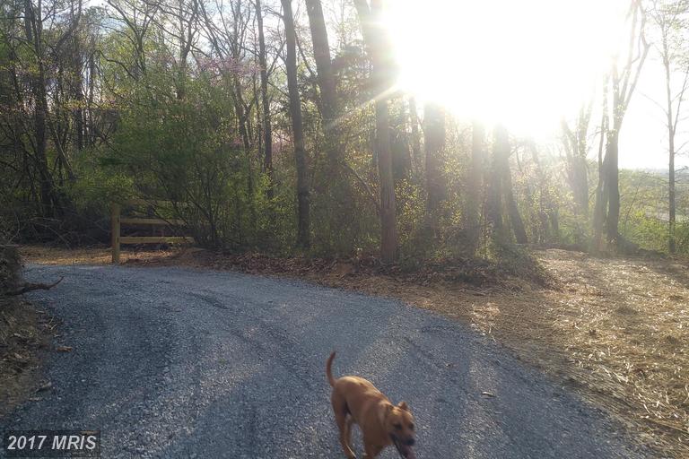 ELFWOOD DRIVE, Harpers Ferry, WV 25425