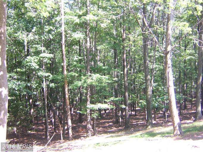 494 CAYUGA TRAIL, Hedgesville, WV 25427