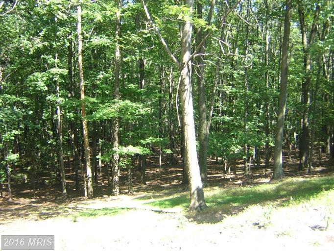 494 CAYUGA TRAIL, Hedgesville, WV 25427