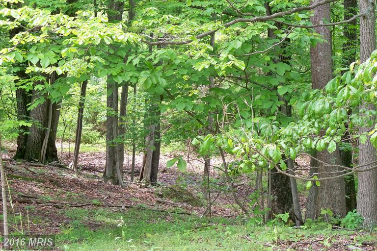 LOT 31 OAK RIDGE LANE, Hedgesville, WV 25427