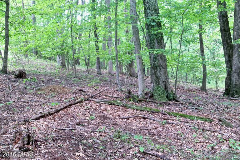 LOT 31 OAK RIDGE LANE, Hedgesville, WV 25427