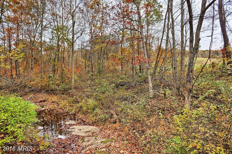 BUTTS MILL ROAD, Hedgesville, WV 25427