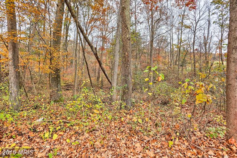 BUTTS MILL ROAD, Hedgesville, WV 25427