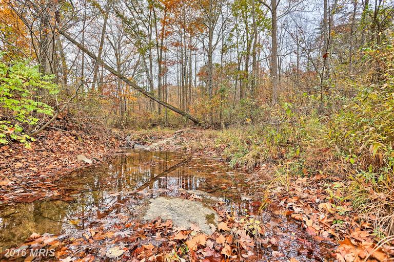 BUTTS MILL ROAD, Hedgesville, WV 25427
