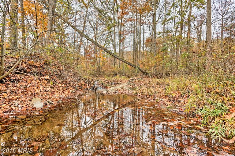 BUTTS MILL ROAD, Hedgesville, WV 25427