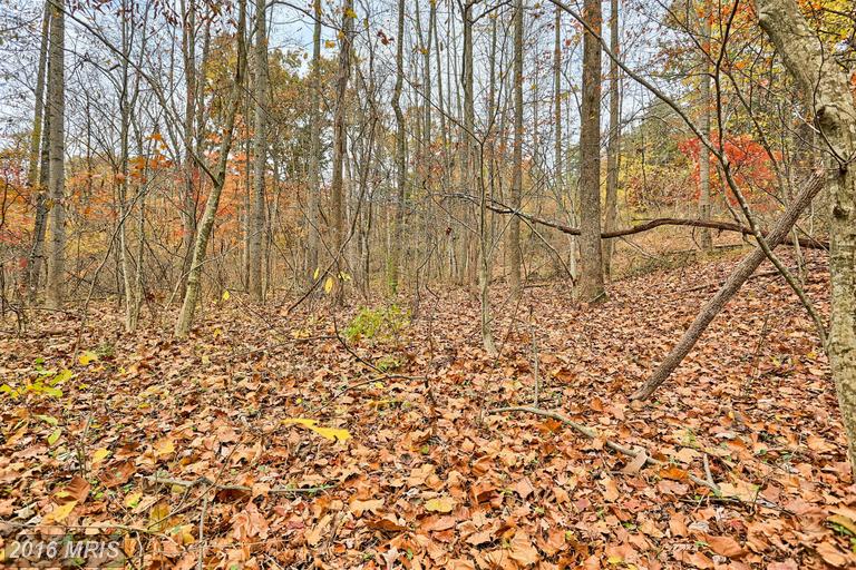 BUTTS MILL ROAD, Hedgesville, WV 25427