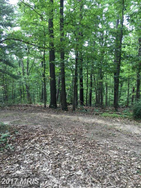OFF WV RT 9, Hedgesville, WV 25427