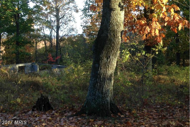 TRAPPERS RIDGE ROAD, Hedgesville, WV 25427