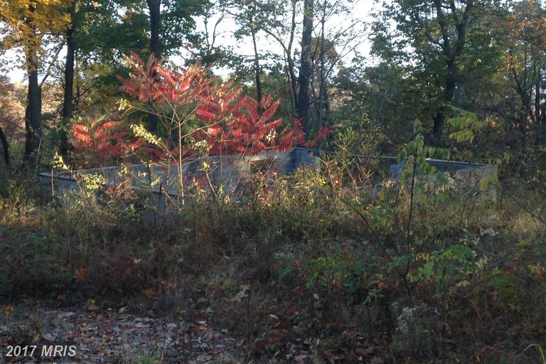 TRAPPERS RIDGE ROAD, Hedgesville, WV 25427