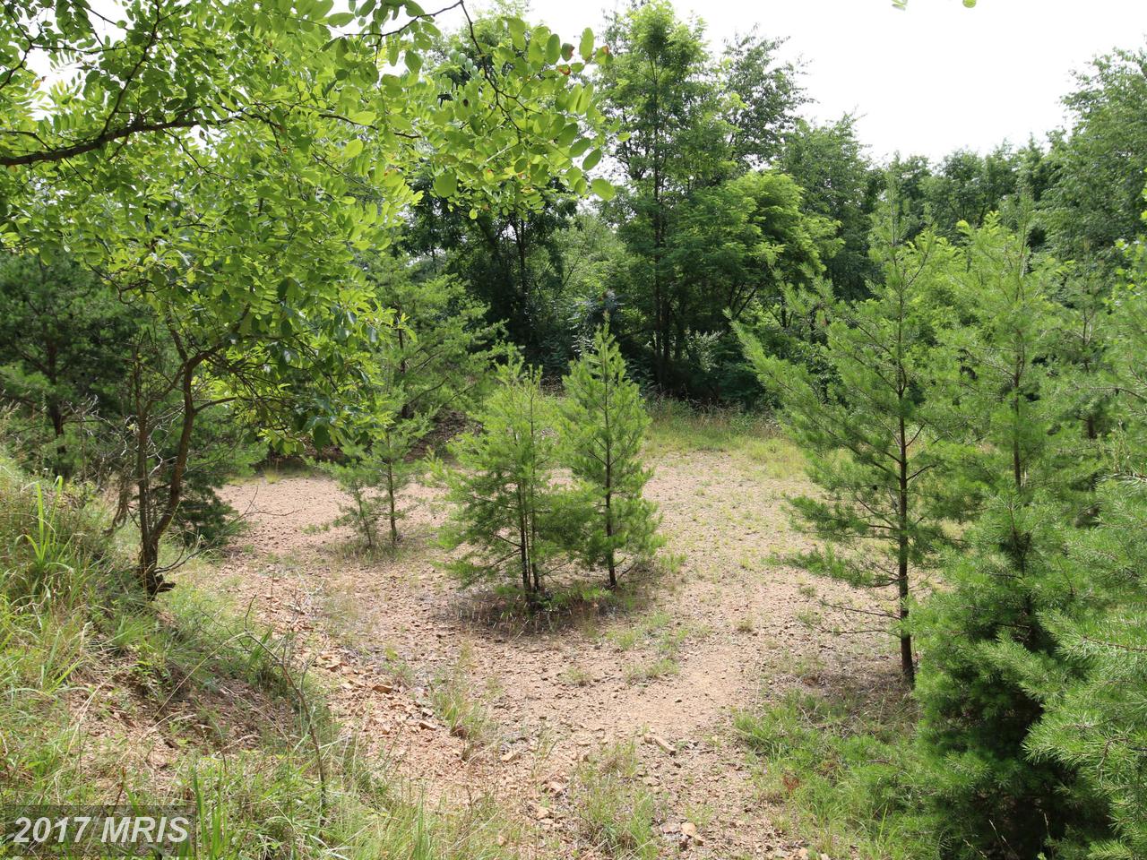 BREAK AWAY RD, Hedgesville, WV 25427