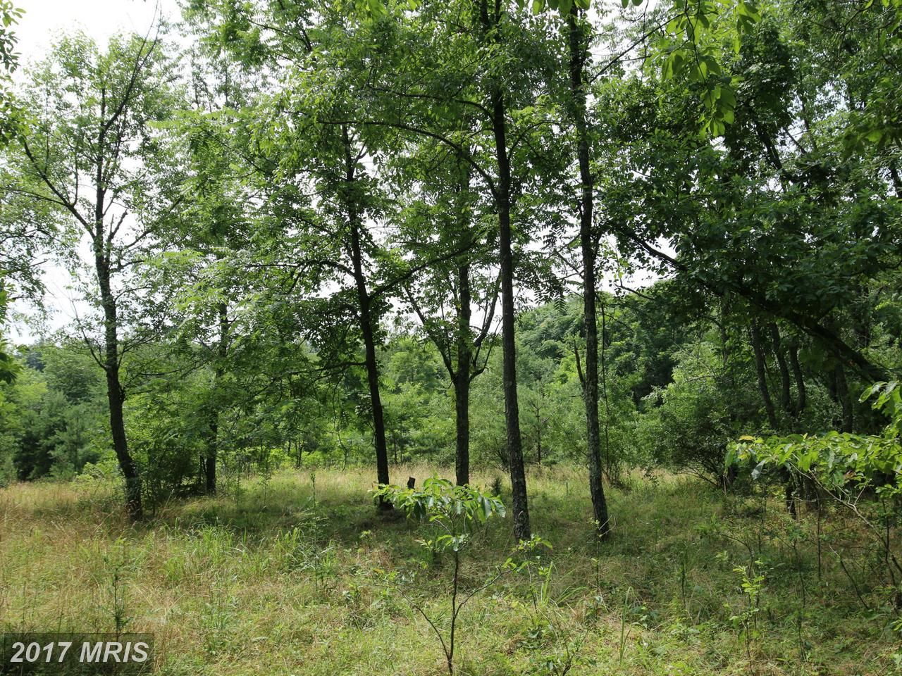 BREAK AWAY RD, Hedgesville, WV 25427