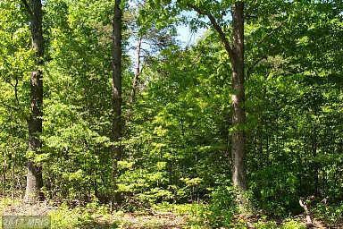 PARSONS ROAD, Hedgesville, WV 25427