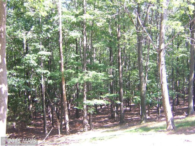 714 Tecumseh Trail